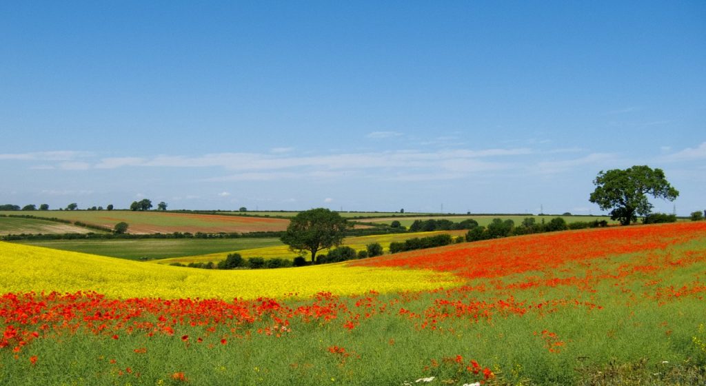 The Lincolnshire Wolds - Boston UK